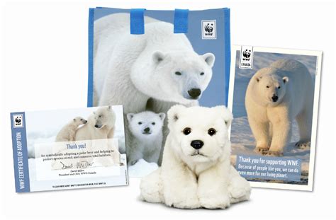Ways to Support WWF .